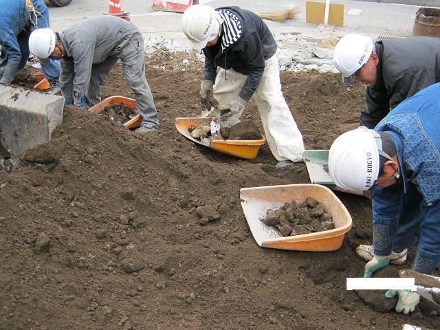 綺麗な整地とそうでない整地…